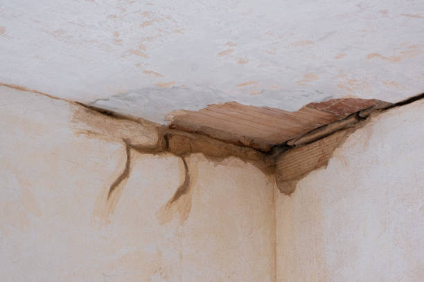 Best Water damage restoration process  in Lone Tree, CO