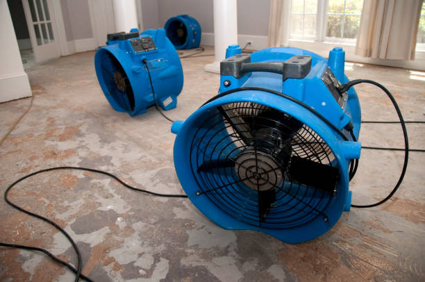  Lone Tree, CO Water damage restoration Pros