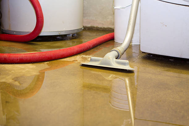 Best Professional water damage repair  in Lone Tree, CO