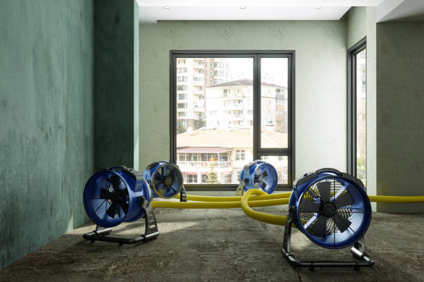 Best Carpet water damage restoration  in Lone Tree, CO
