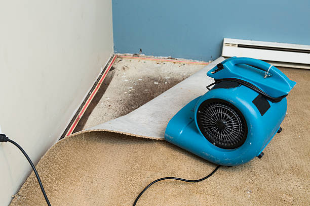 Best Water damage restoration services  in Lone Tree, CO